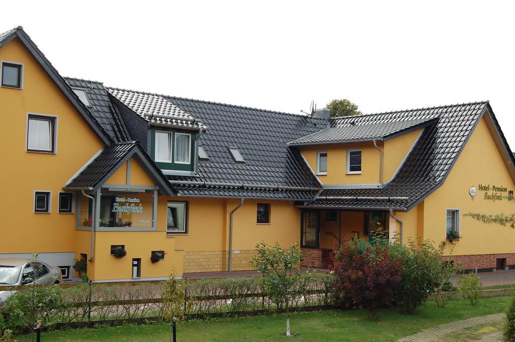 Pension Buchfink Uckeritz Kültér fotó
