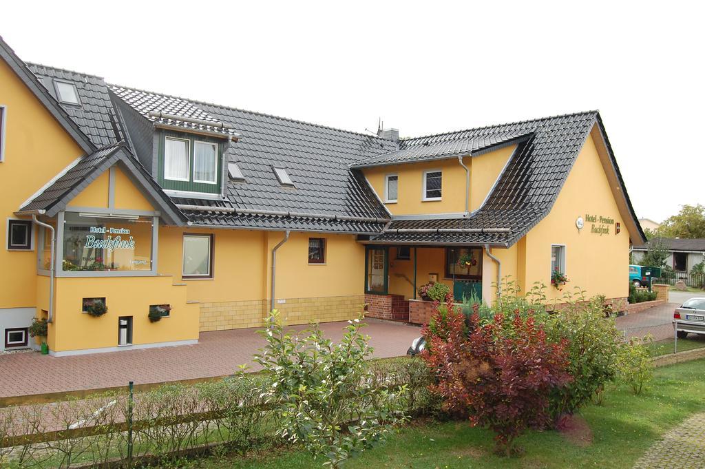 Pension Buchfink Uckeritz Kültér fotó